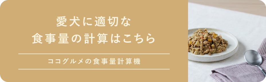 ココグルメの正しい食べ方・食事量 | 【獣医師監修】手づくり