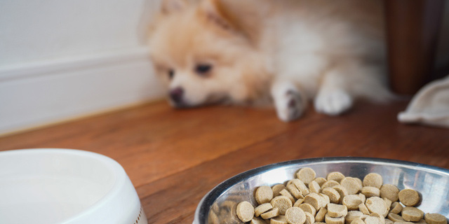 必見 いま愛犬家に超超話題の手作りドッグフード ココグルメ とは 獣医師監修の手作りドッグフード 公式 ココグルメ