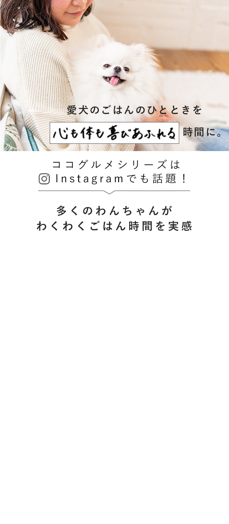 愛犬のごはんのひとときを心も体も喜びあふれる時間に