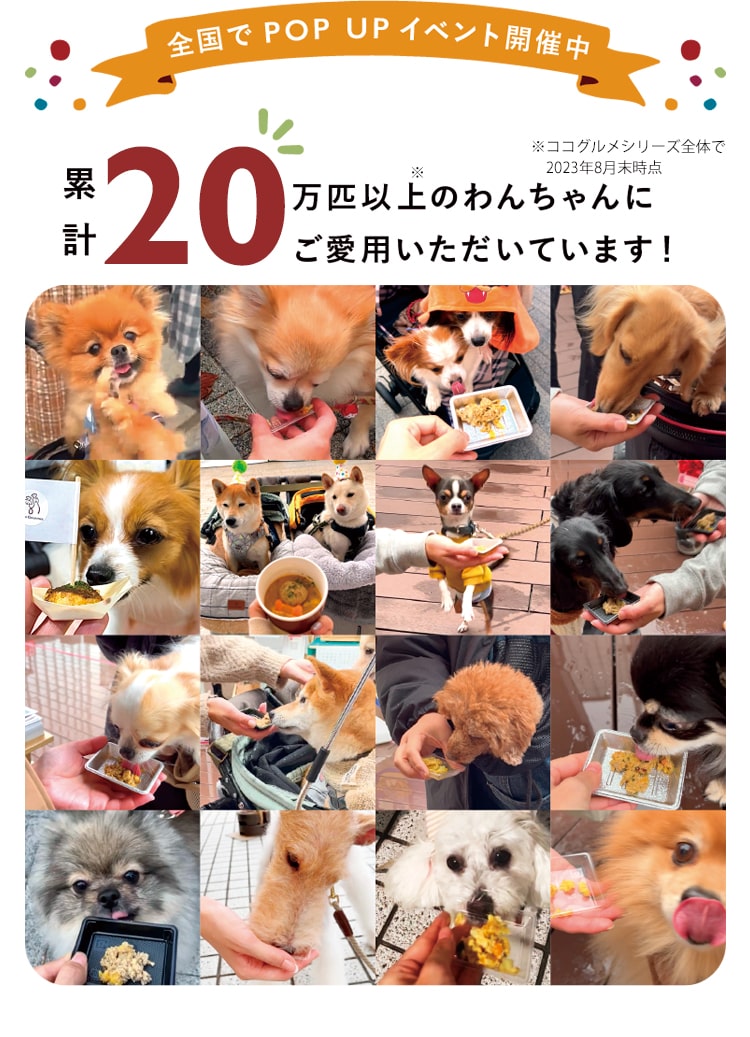 全国でPOPUPイベントを開催中！累計20万匹以上のわんちゃんにご愛用いただいています