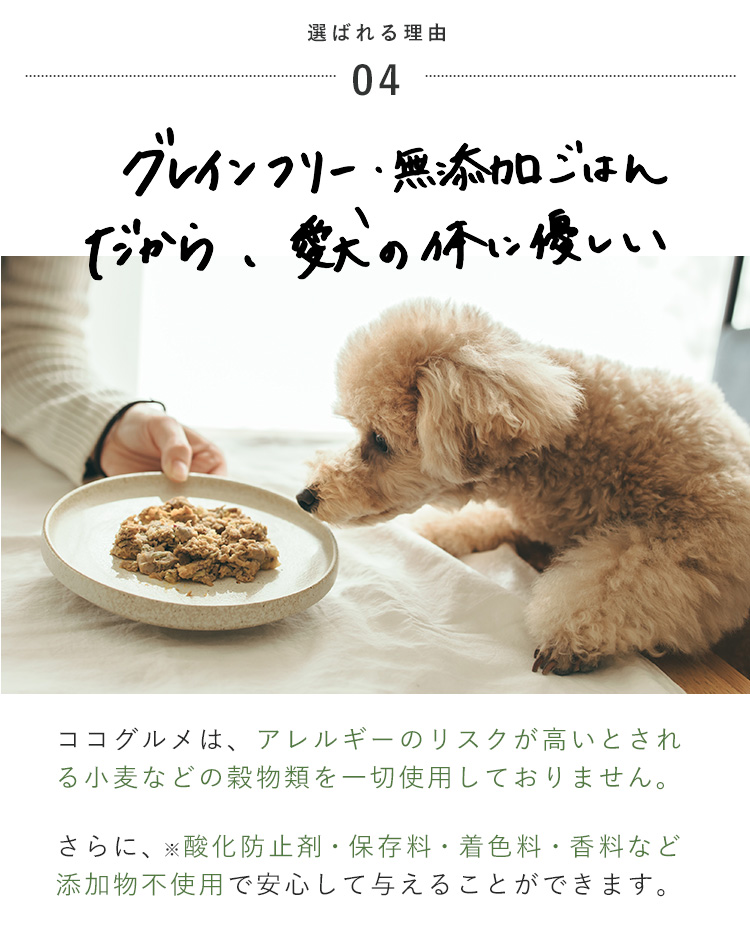 グレインフリーで無添加のごはんだから、愛犬の体に優しい