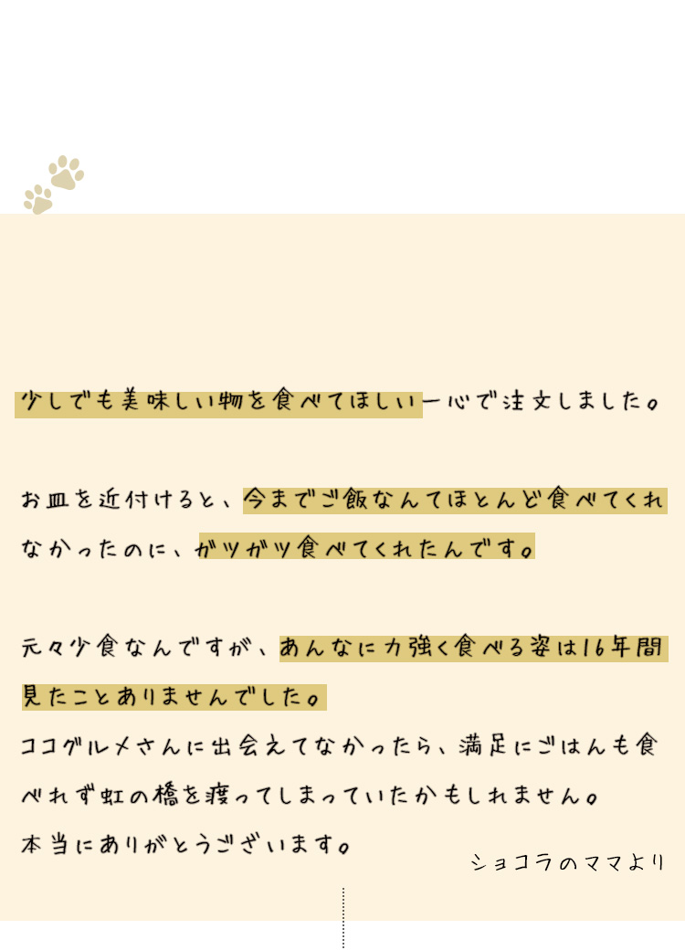 愛犬のショコラは元々少食でドッグフードをあまり食べてくれませんでしたが、ココグルメなら食べてくれました