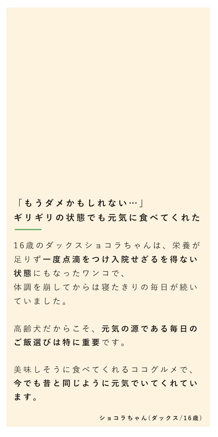 もうダメかもしれない…寝たきり・点滴だったショコラに起きた奇跡の話