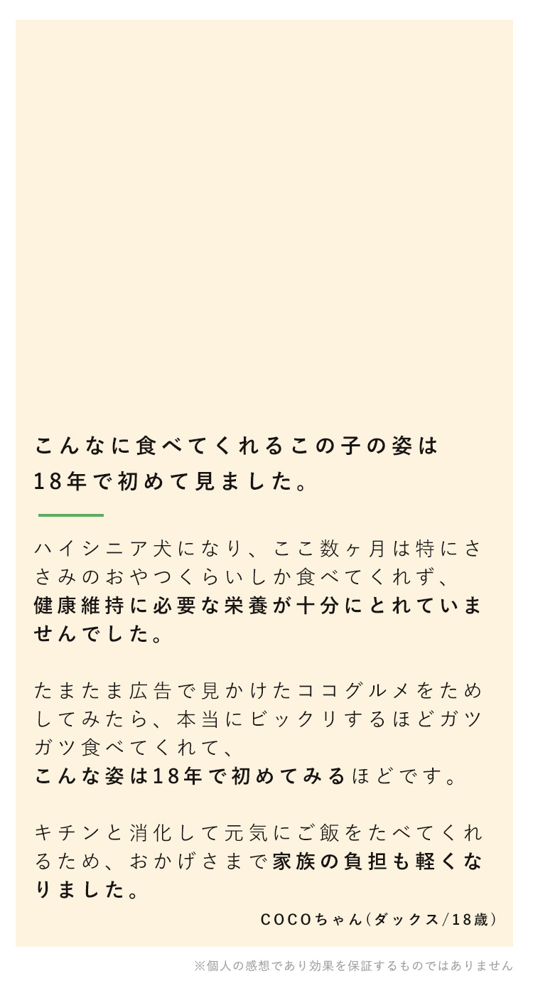 こんなにご飯を食べてくれる姿は18年で初めてみました