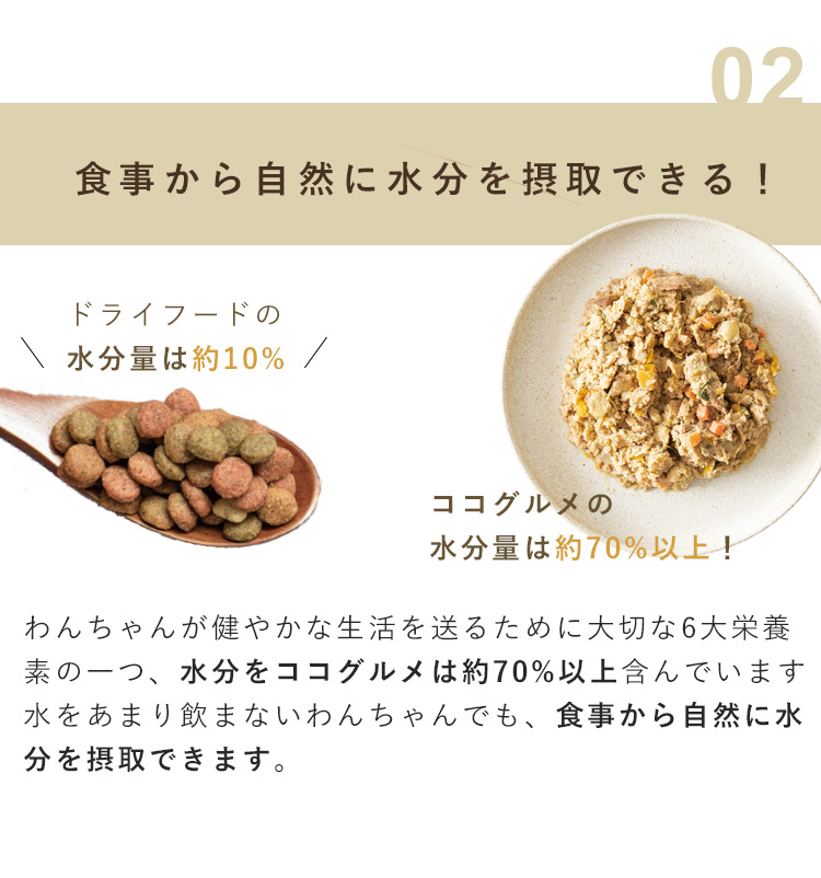 愛犬に手作りごはんをお勧めする理由2. 食事から自然に水分も摂取できること