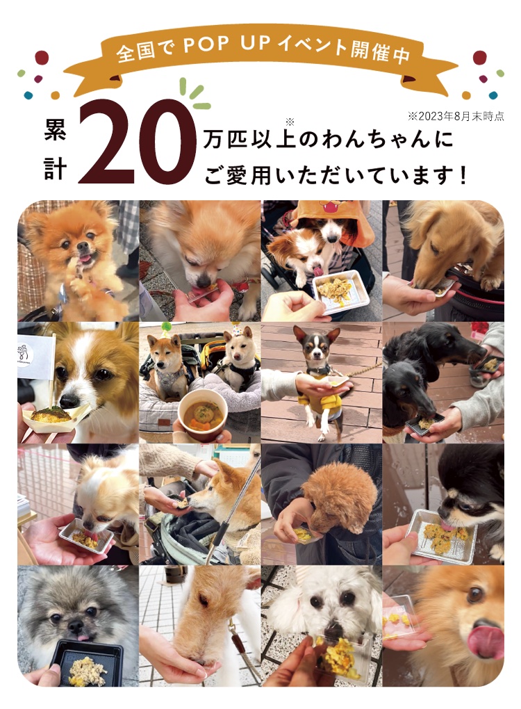 全国でPOPUPイベントを開催中！累計10万匹以上のわんちゃんにご愛用いただいています