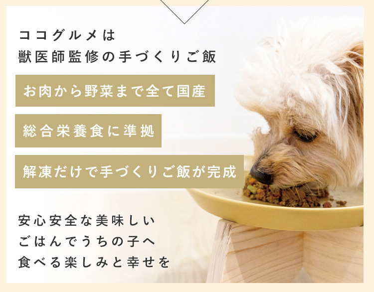 ココグルメは獣医師監修の手作りごはんだから、安心安全。愛犬へ食べる楽しみと幸せを届けよう。