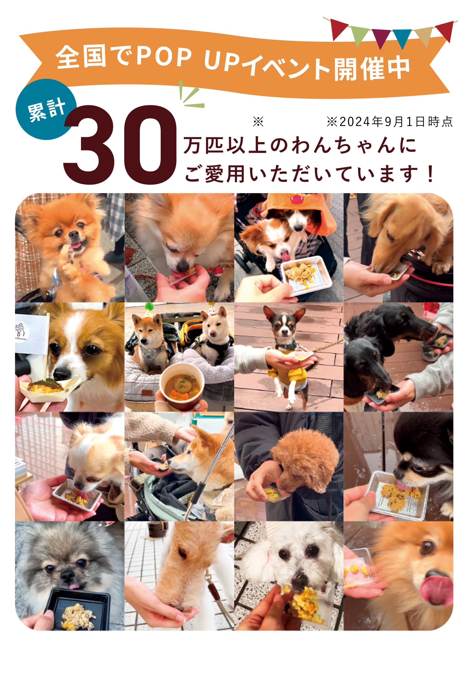 全国でPOPUPイベントを開催中！累計30万匹以上のわんちゃんにご愛用いただいています