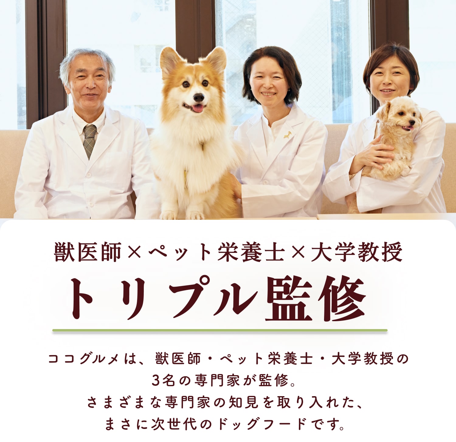 栄養学専門の先生が監修