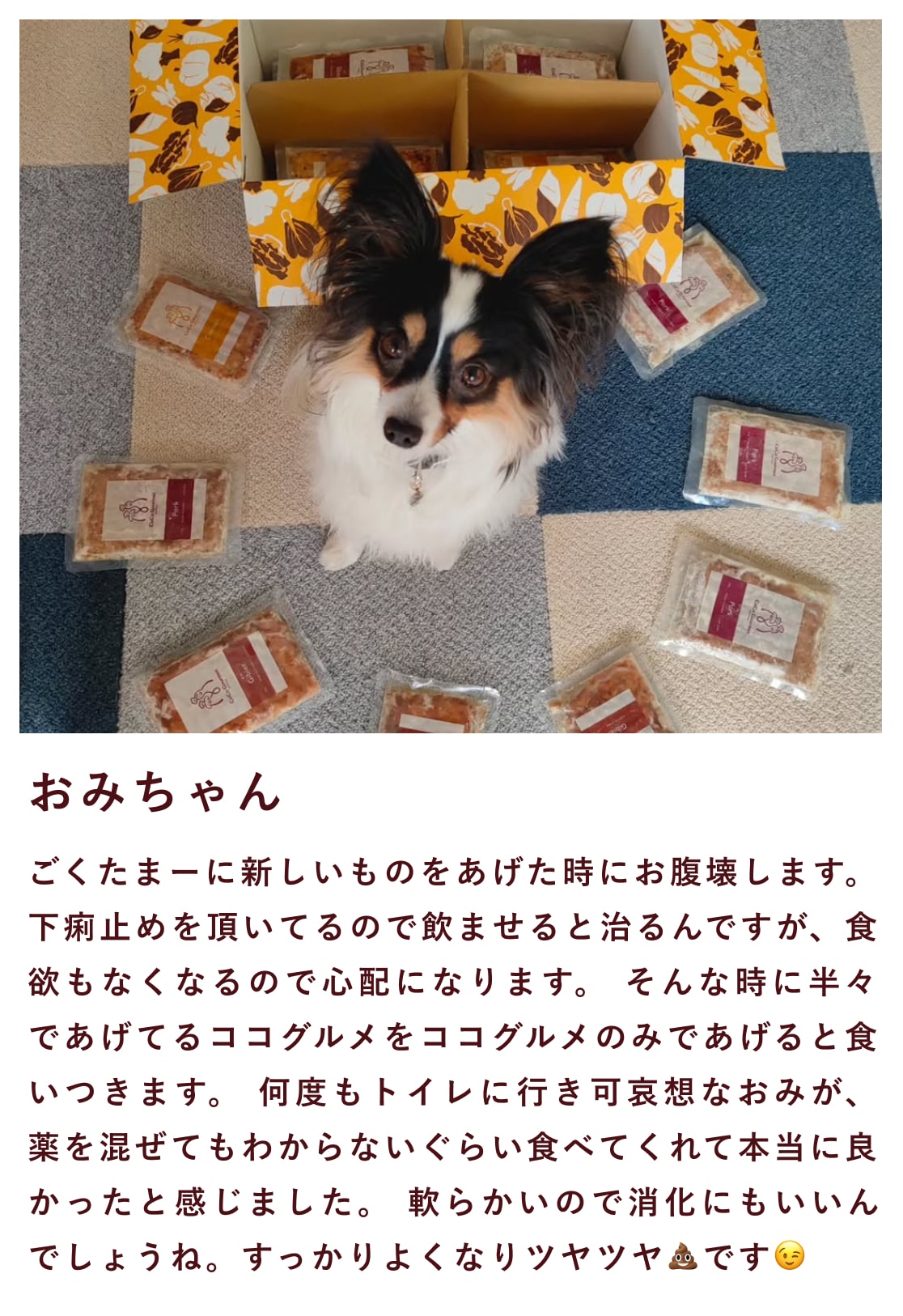 ココグルメのお客様によるインスタグラムの投稿です