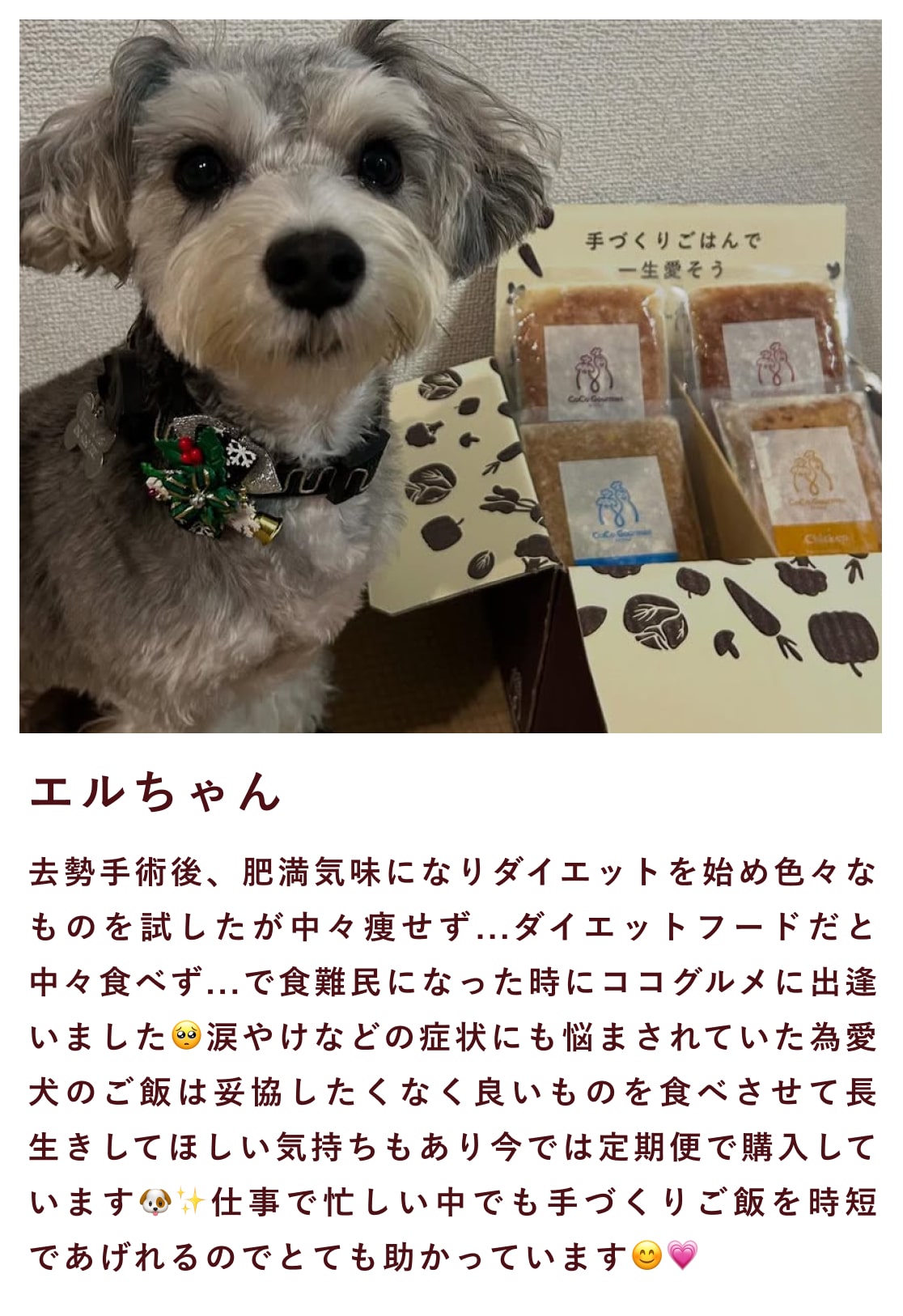 ココグルメのお客様によるインスタグラムの投稿です