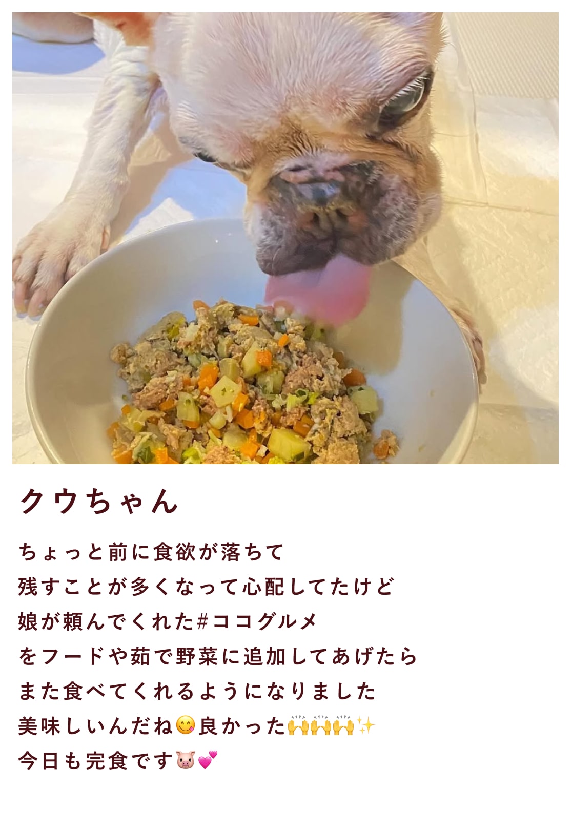 ココグルメのお客様によるインスタグラムの投稿です