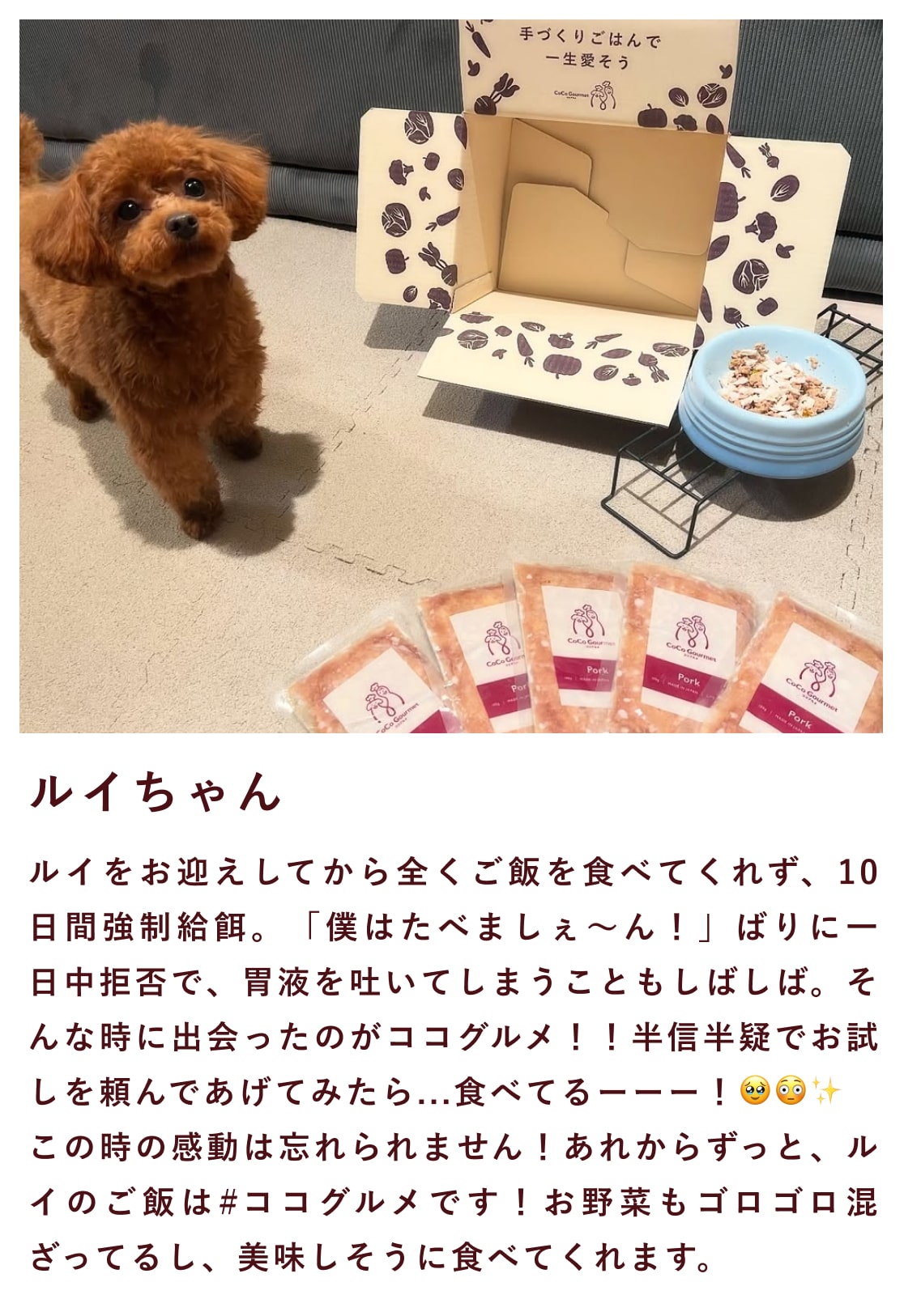 ココグルメのお客様によるインスタグラムの投稿です