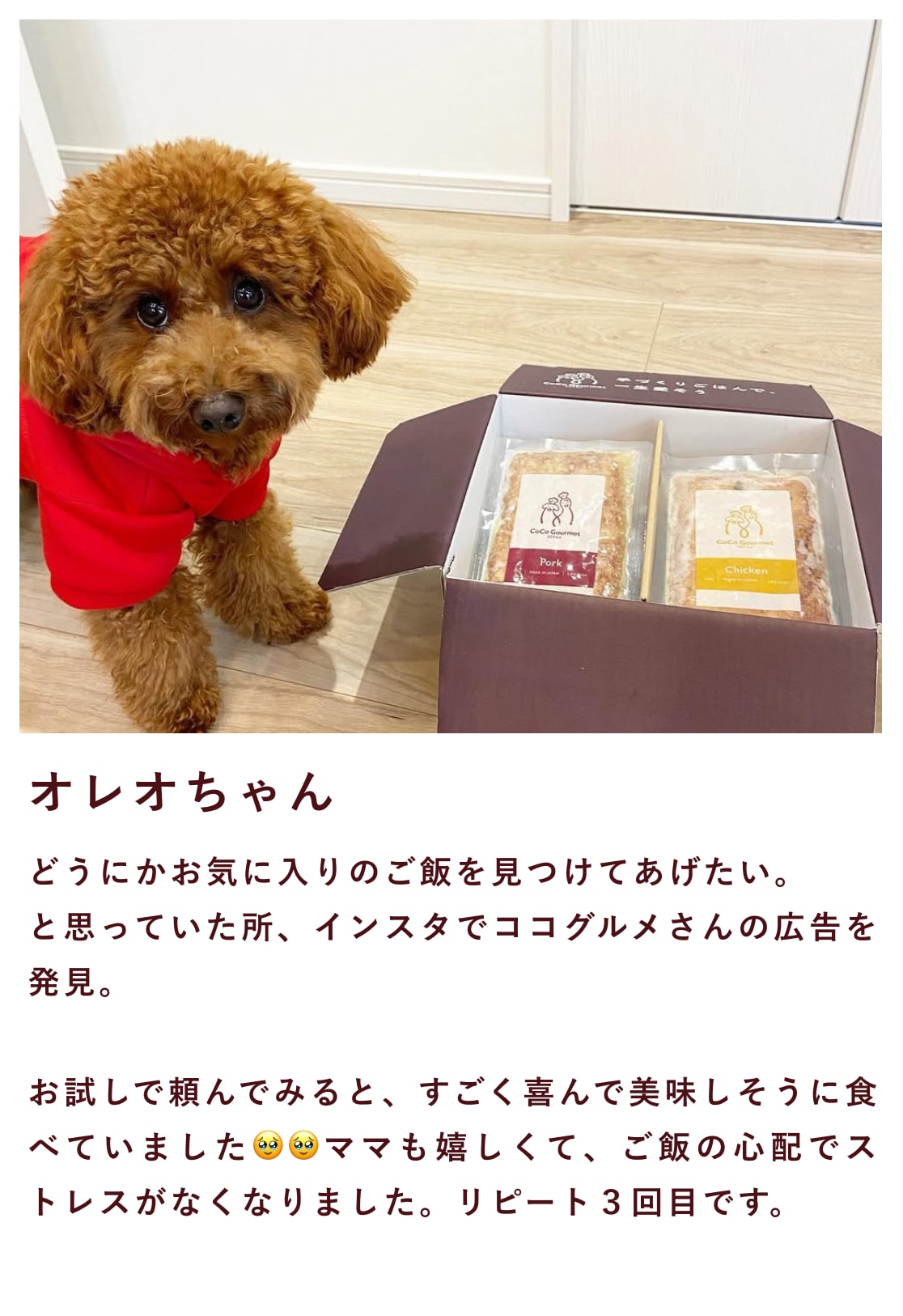 ココグルメのお客様によるインスタグラムの投稿です