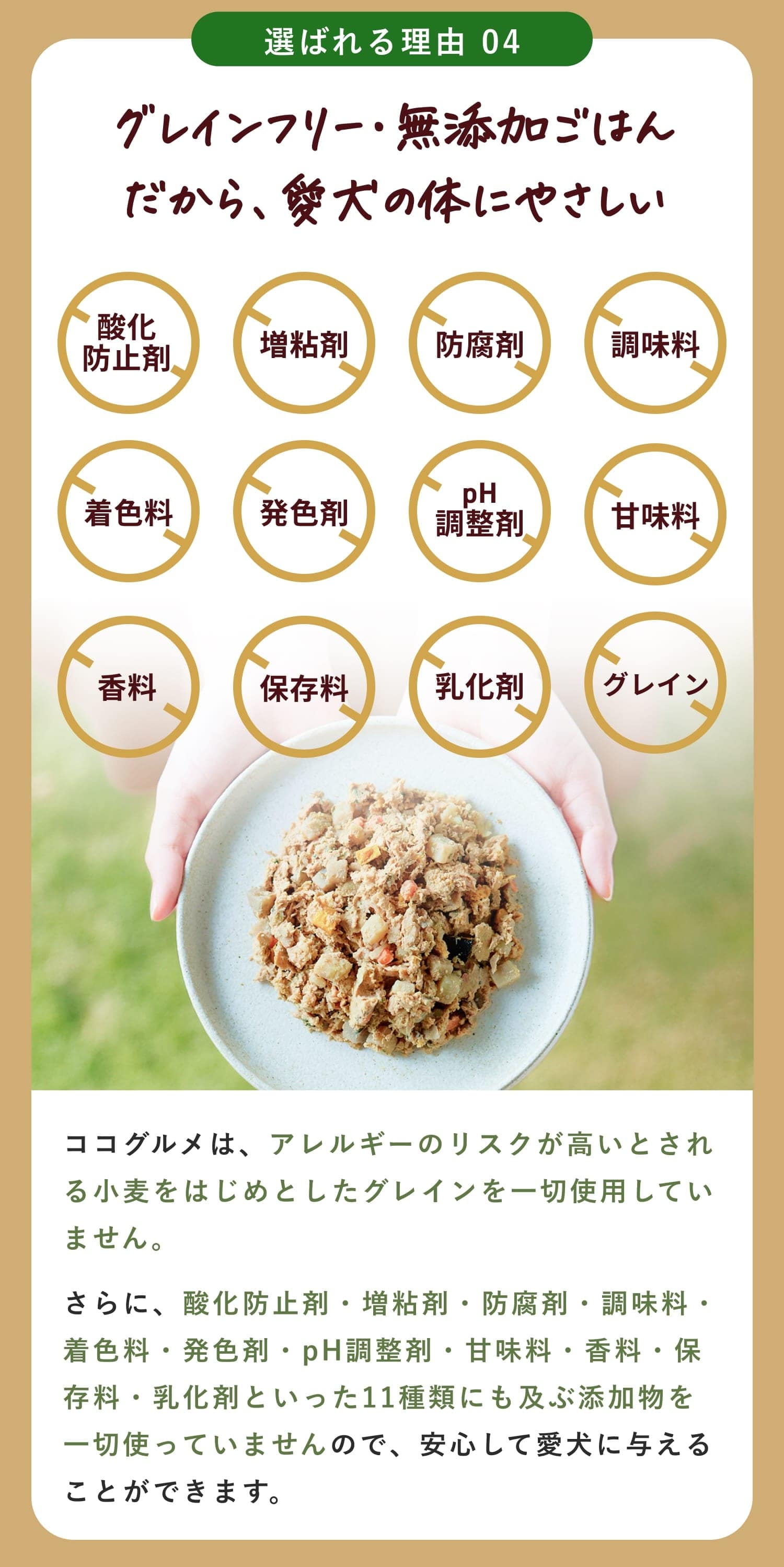 グレインフリーで無添加のごはんだから、愛犬の体に優しい