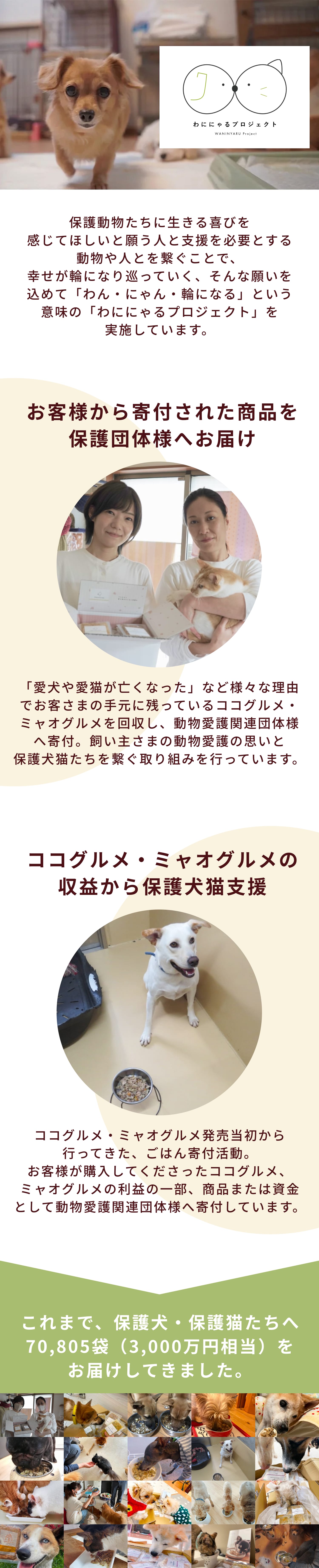 ココグルメは保護犬たちにフードをお裾分けする、わににゃるフードプロジェクトに取り組んでいます