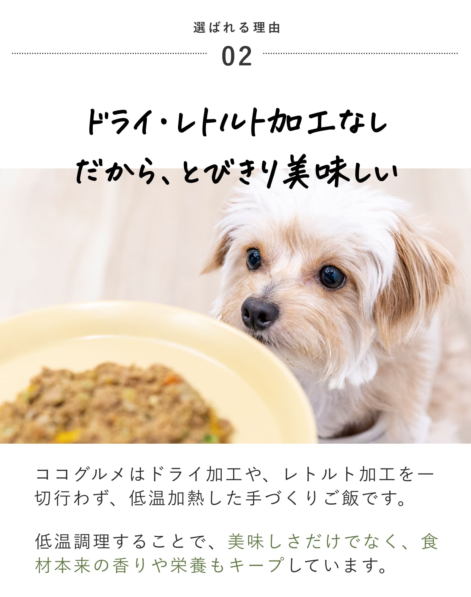 ドライ加工・レトルト加工をしていないからこそ、とびきり美味しいご飯です