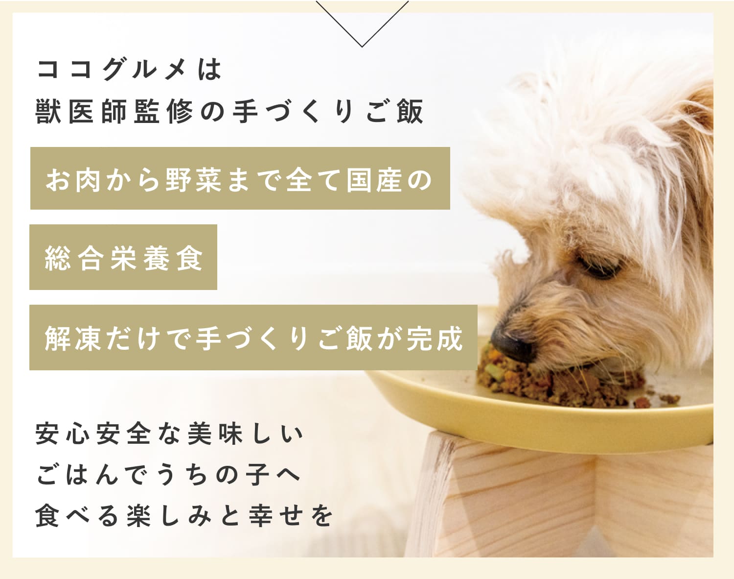 ココグルメは獣医師監修の手作りごはんだから、安心安全。愛犬へ食べる楽しみと幸せを届けよう。