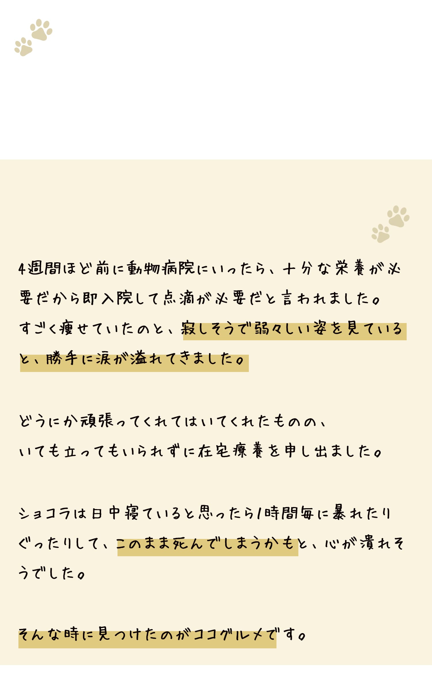 病気で弱々しくなり、食事が喉に通らなくなった愛犬のショコラでも、美味しく食べることができました