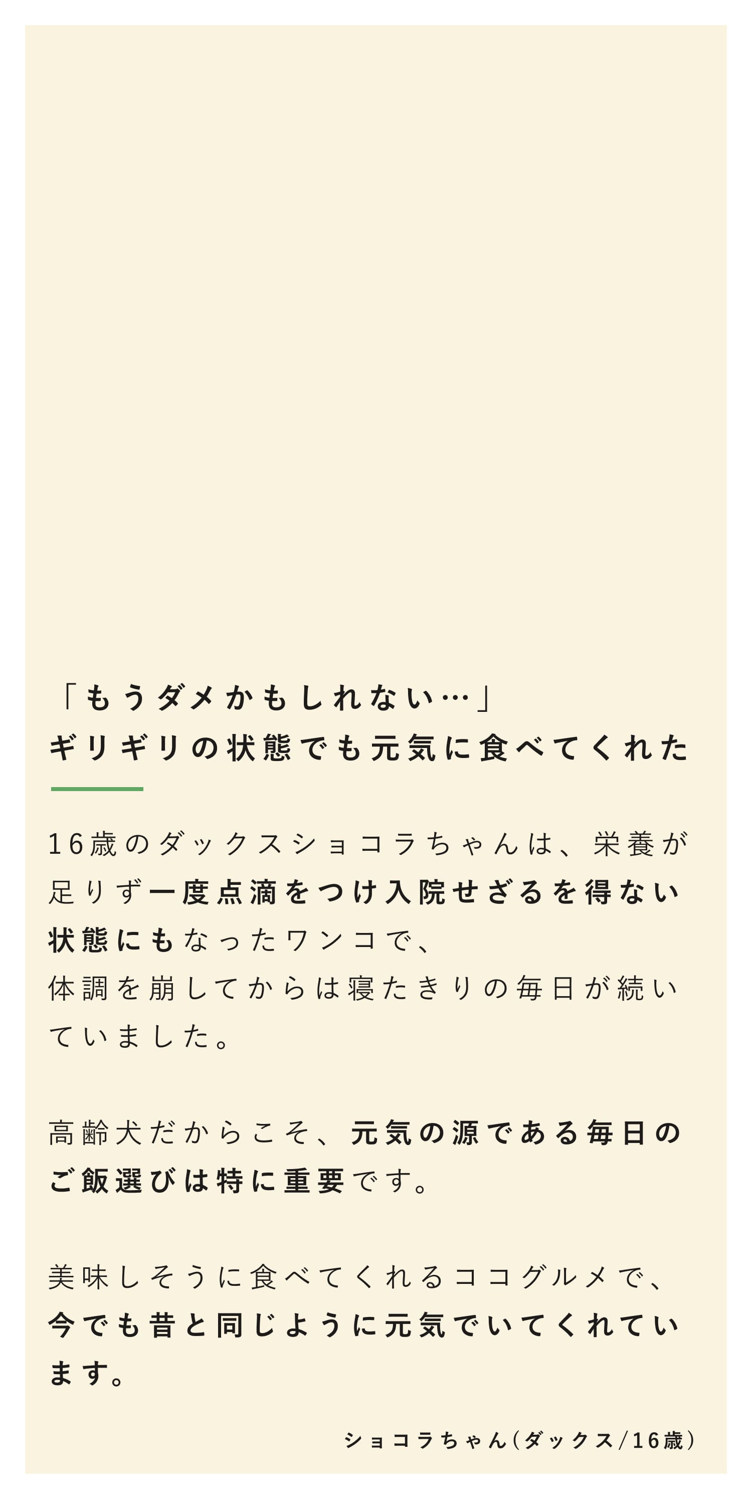もうダメかもしれない…寝たきり・点滴だったショコラに起きた奇跡の話