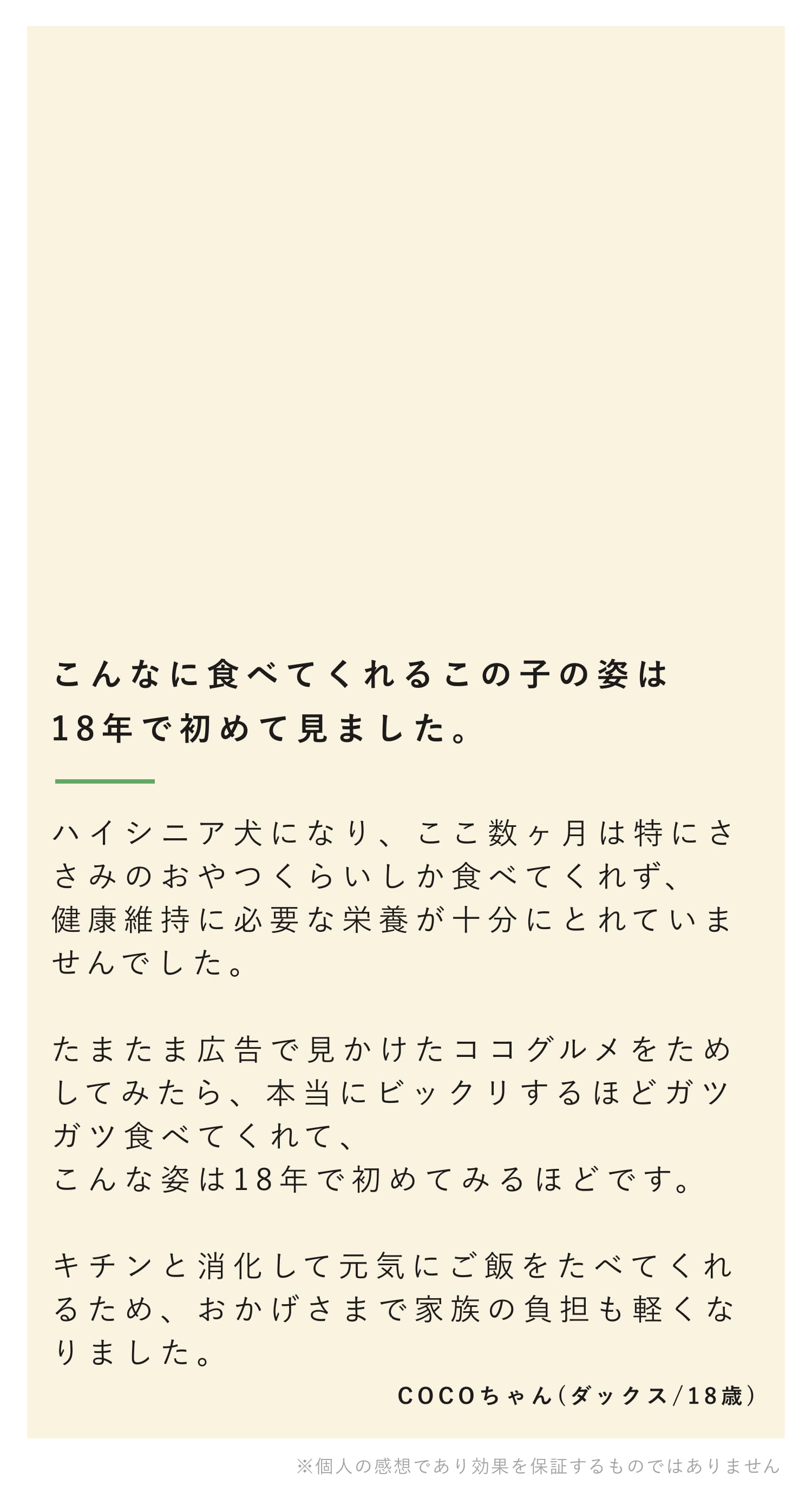 こんなにご飯を食べてくれる姿は18年で初めてみました