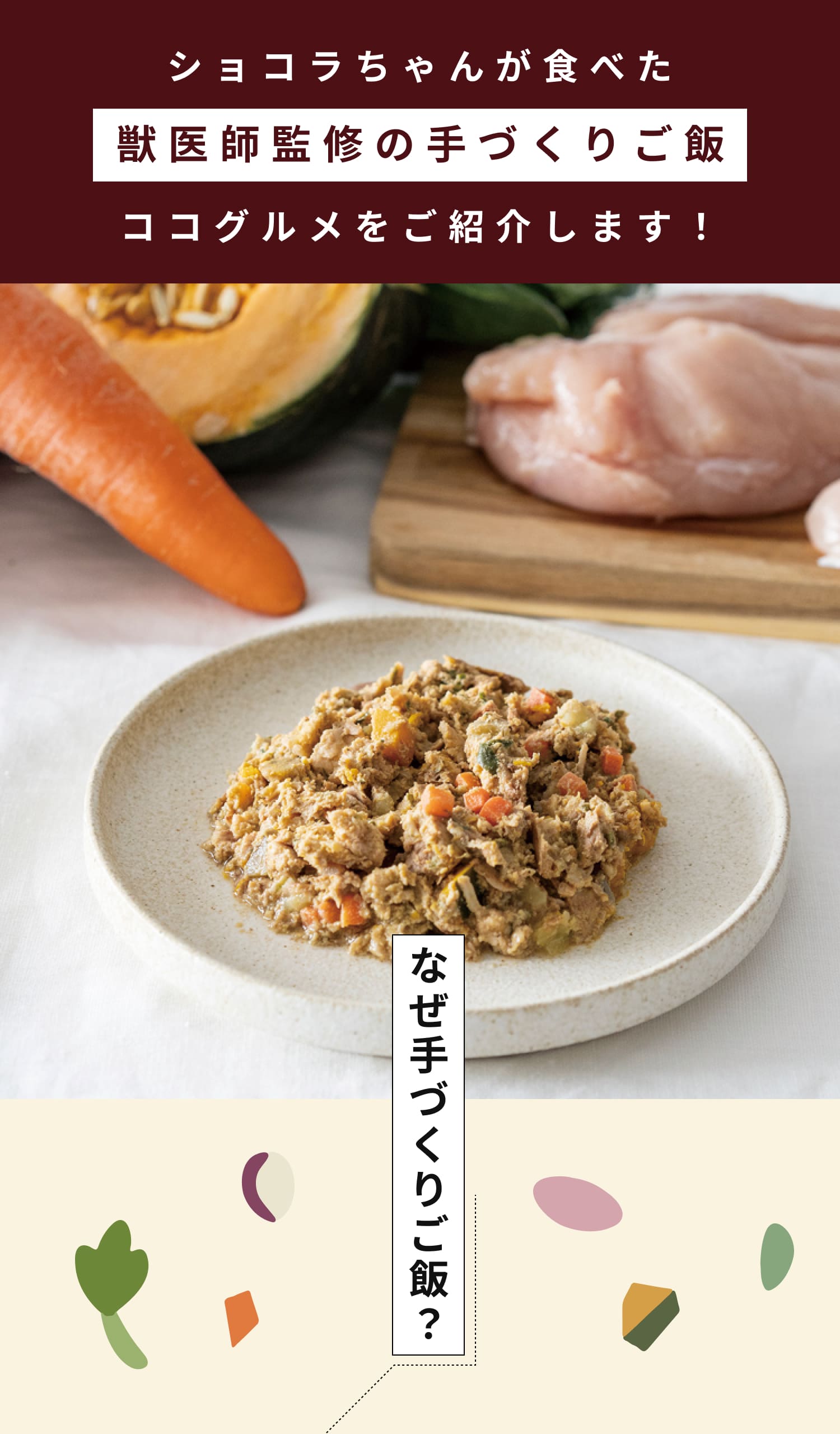 ショコラちゃんも美味しく食べた獣医師監修の手作りごはん、ココグルメを紹介します