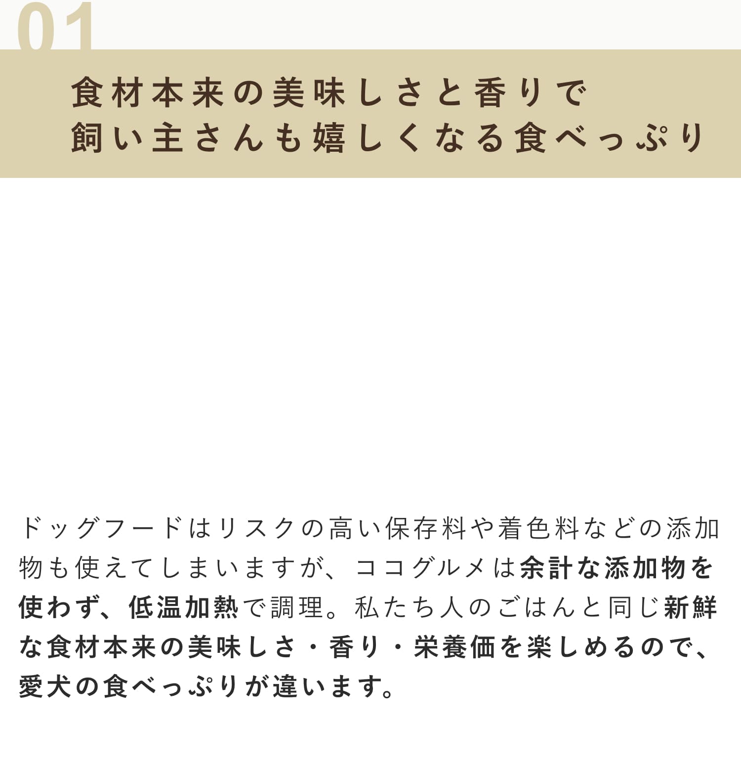 愛犬に手作りごはんをお勧めする理由1. 食材本来の美味しさと香りで飼い主さんも嬉しくなる食べっぷり