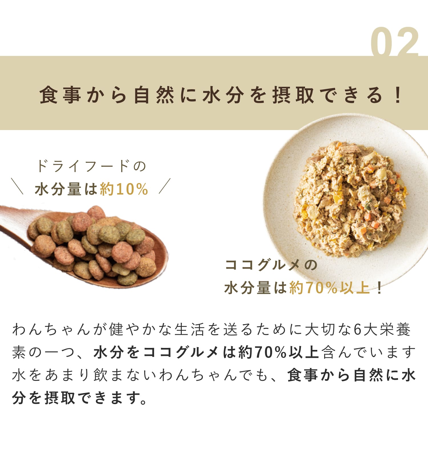 愛犬に手作りごはんをお勧めする理由2. 食事から自然に水分も摂取できること