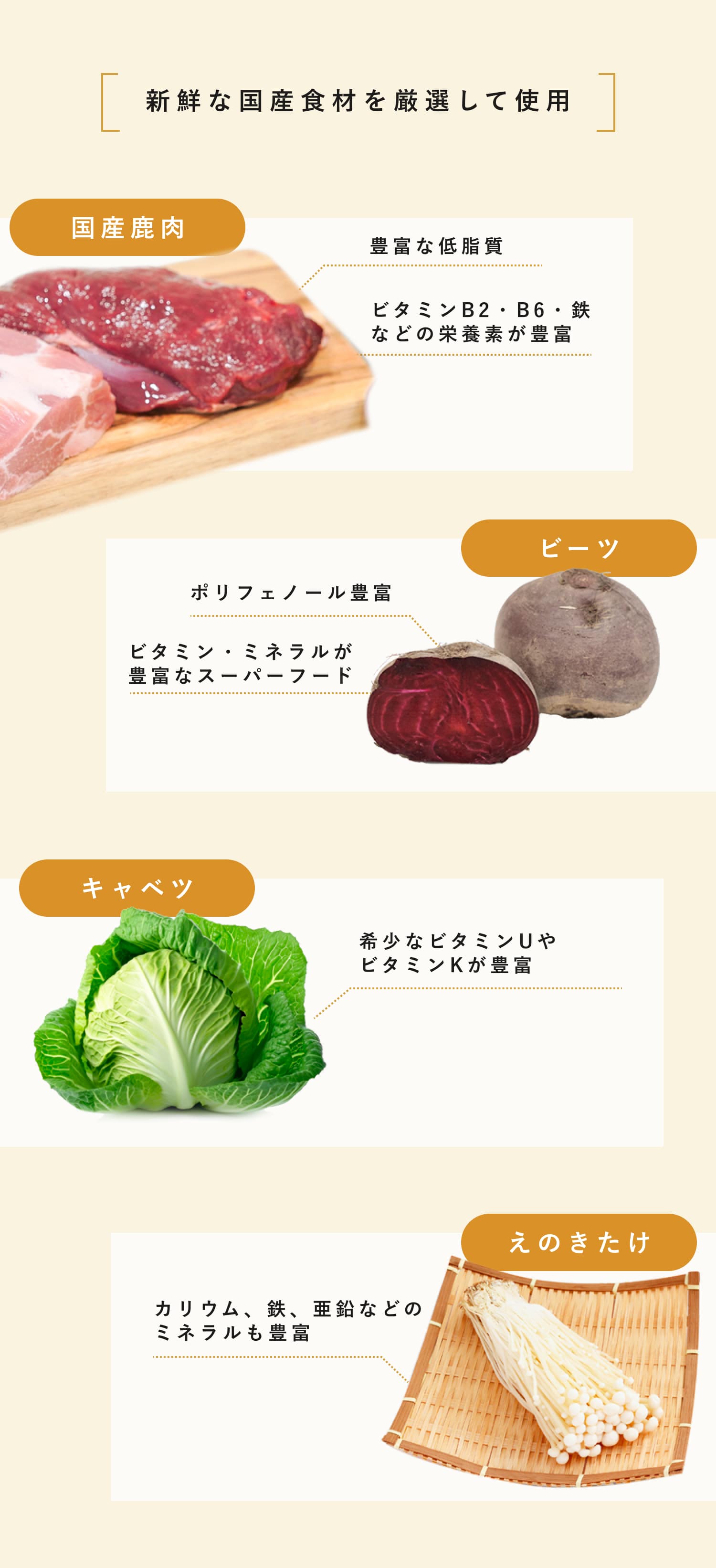 ココグルメは、大人気の3種類のこだわりメニューを用意しています