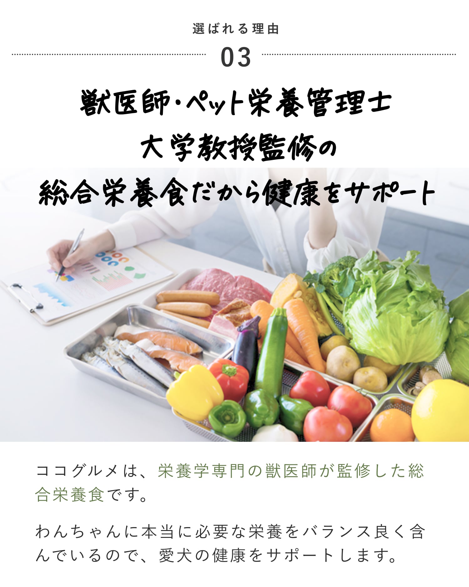 獣医師・栄養士・大学教授が監修したから健康をキチンとサポート