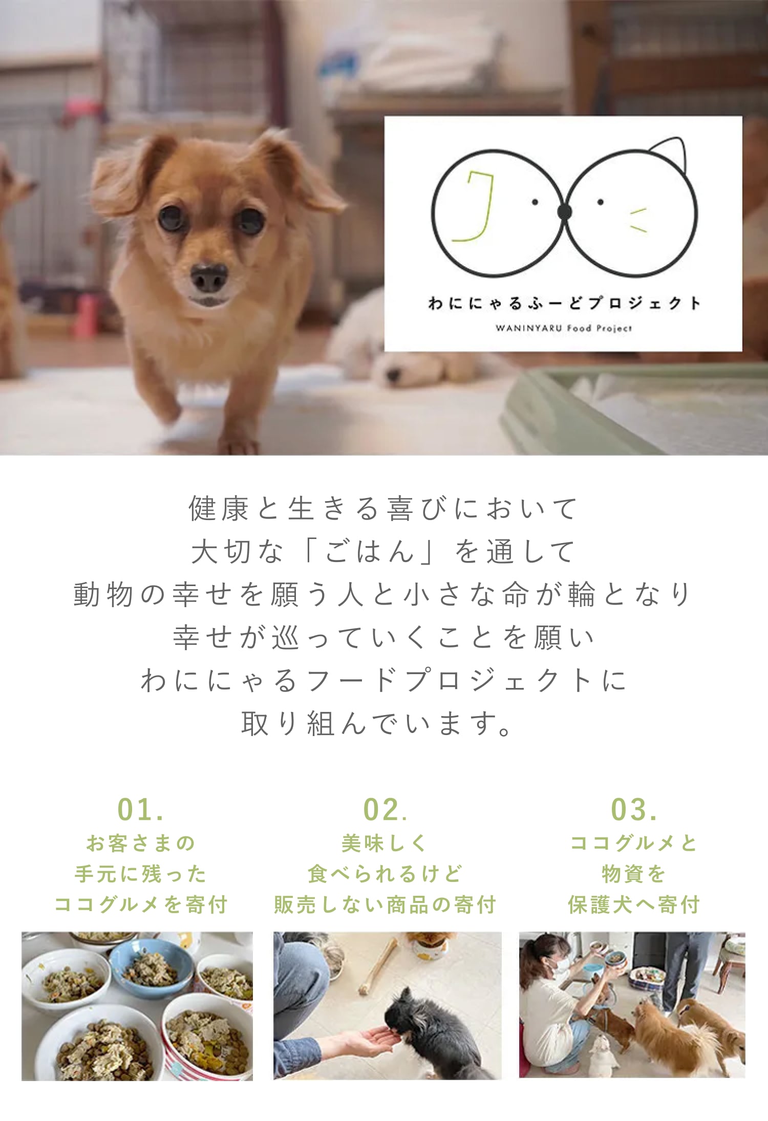 ココグルメは保護犬たちにフードをお裾分けする、わににゃるフードプロジェクトに取り組んでいます