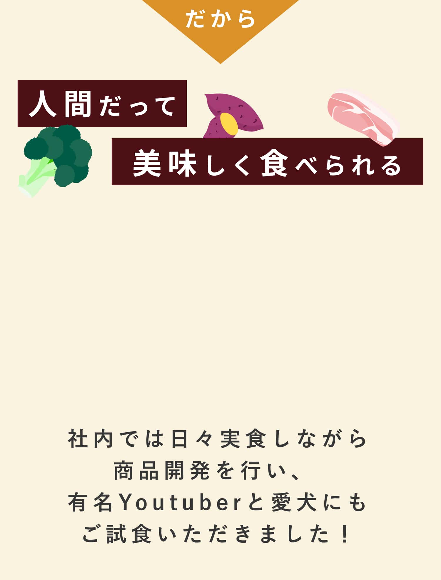 ココグルメの手作りごはんは人間が試食して研究開発しています