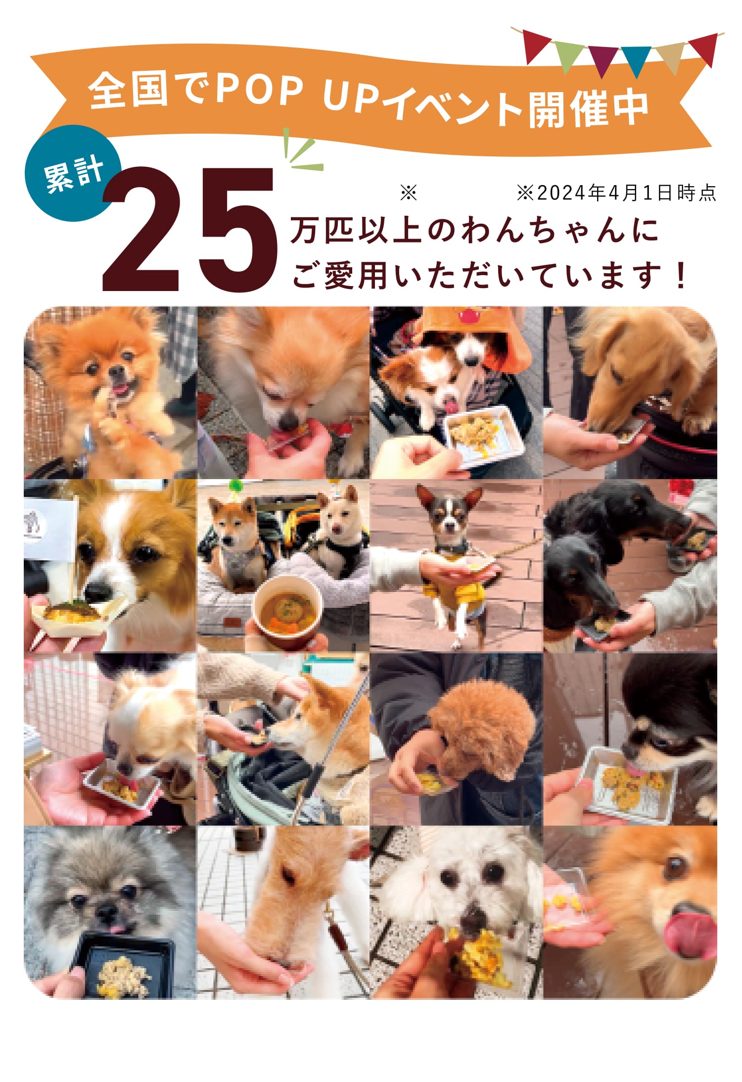 全国でPOPUPイベントを開催中！累計10万匹以上のわんちゃんにご愛用いただいています