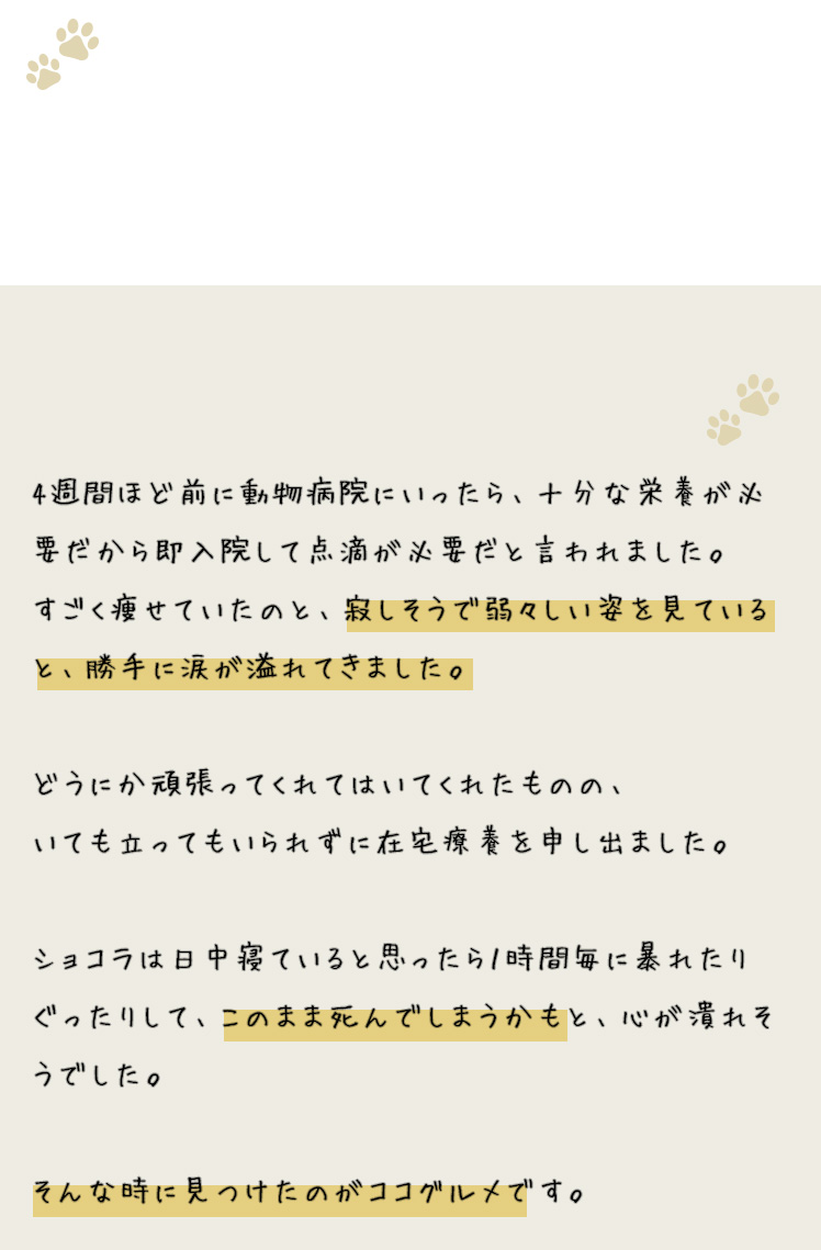 病気で弱々しくなり、食事が喉に通らなくなった愛犬のショコラでも、美味しく食べることができました
