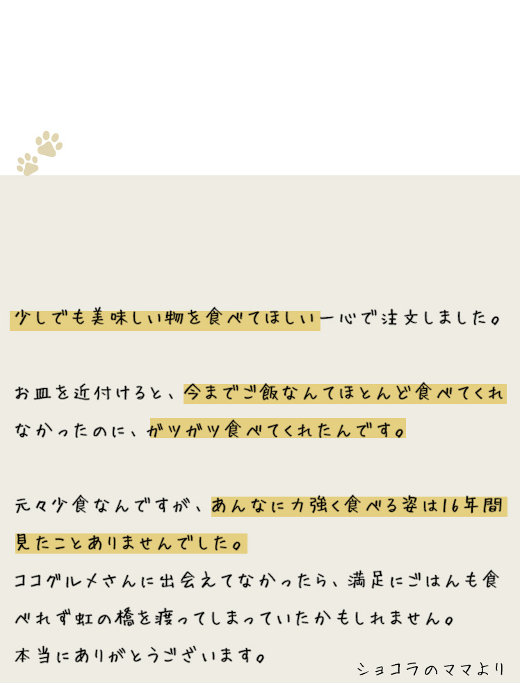 愛犬のショコラは元々少食でドッグフードをあまり食べてくれませんでしたが、ココグルメなら食べてくれました