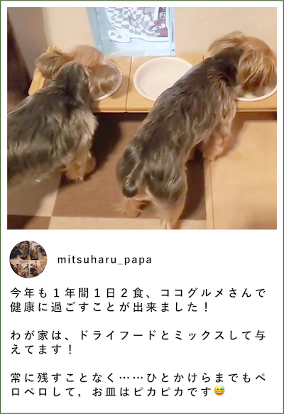 ココグルメのお客様によるインスタグラムの投稿です