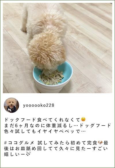 ココグルメのお客様によるインスタグラムの投稿です