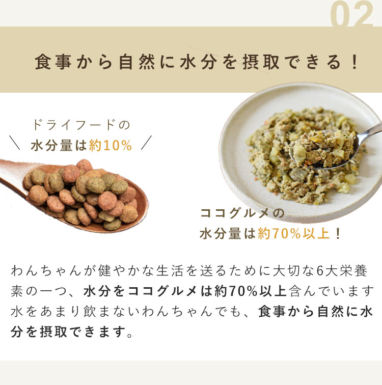 愛犬に手作りごはんをお勧めする理由2. 食事から自然に水分も摂取できること
