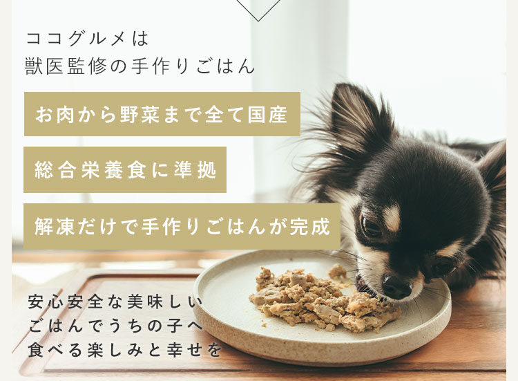 ココグルメは獣医師監修の手作りごはんだから、安心安全。愛犬へ食べる楽しみと幸せを届けよう。
