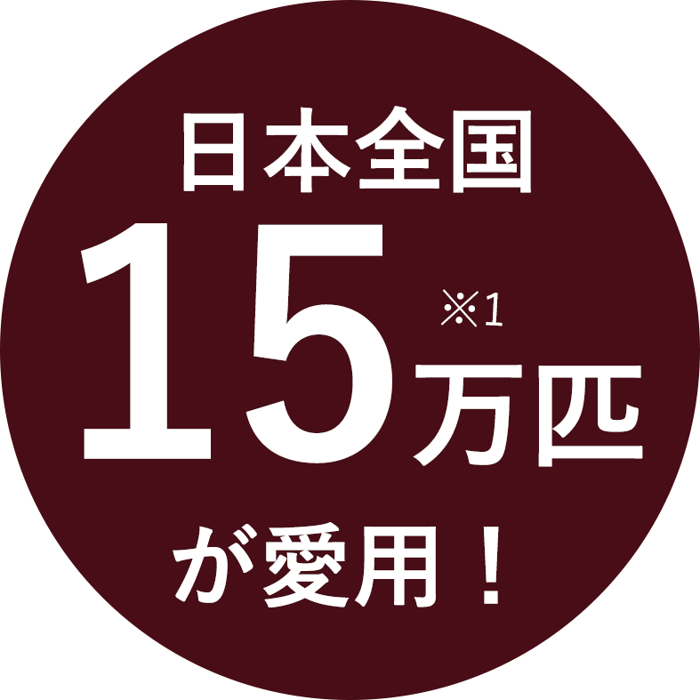 お肉から野菜まで国産食材を厳選したドッグフード